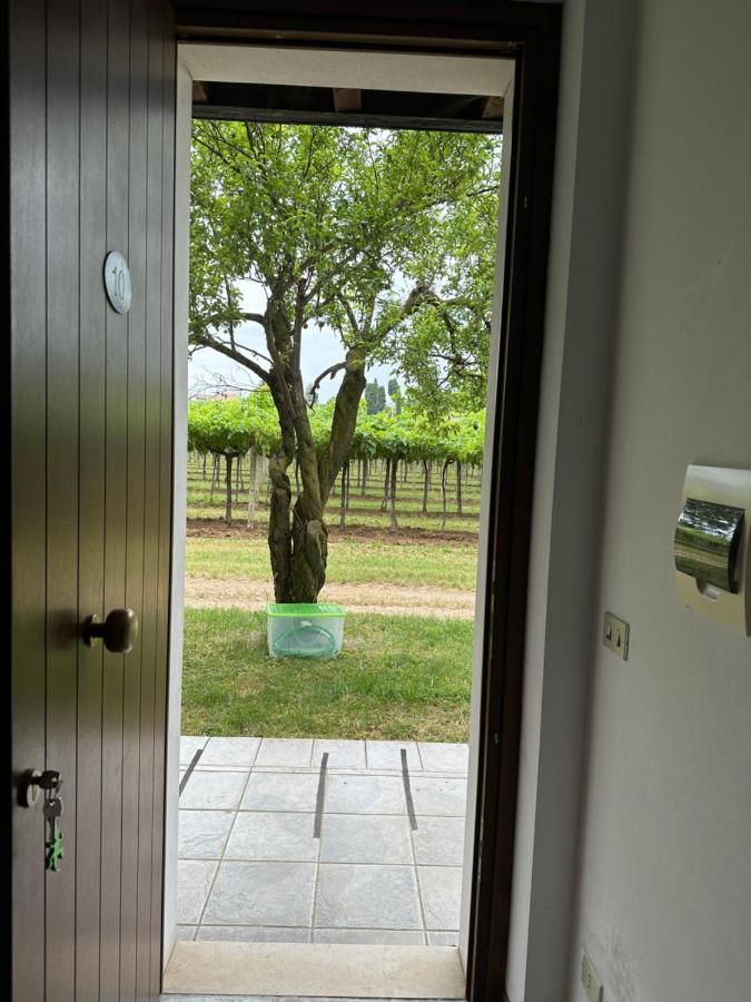Agriturismo Fioravante サン・ピエトロ・イン・カリアーノ エクステリア 写真