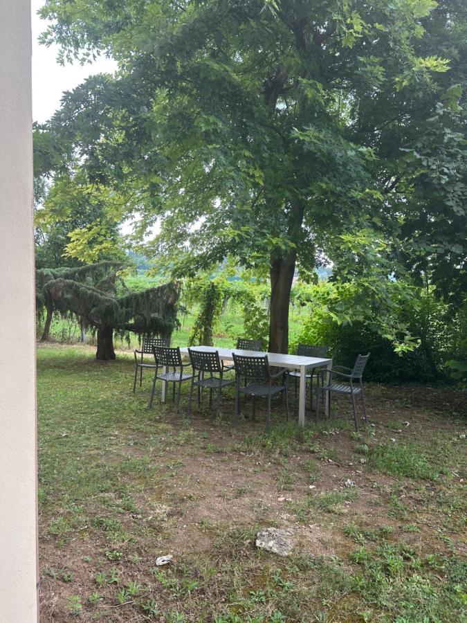 Agriturismo Fioravante サン・ピエトロ・イン・カリアーノ エクステリア 写真