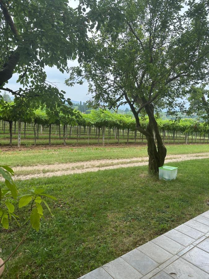 Agriturismo Fioravante サン・ピエトロ・イン・カリアーノ エクステリア 写真